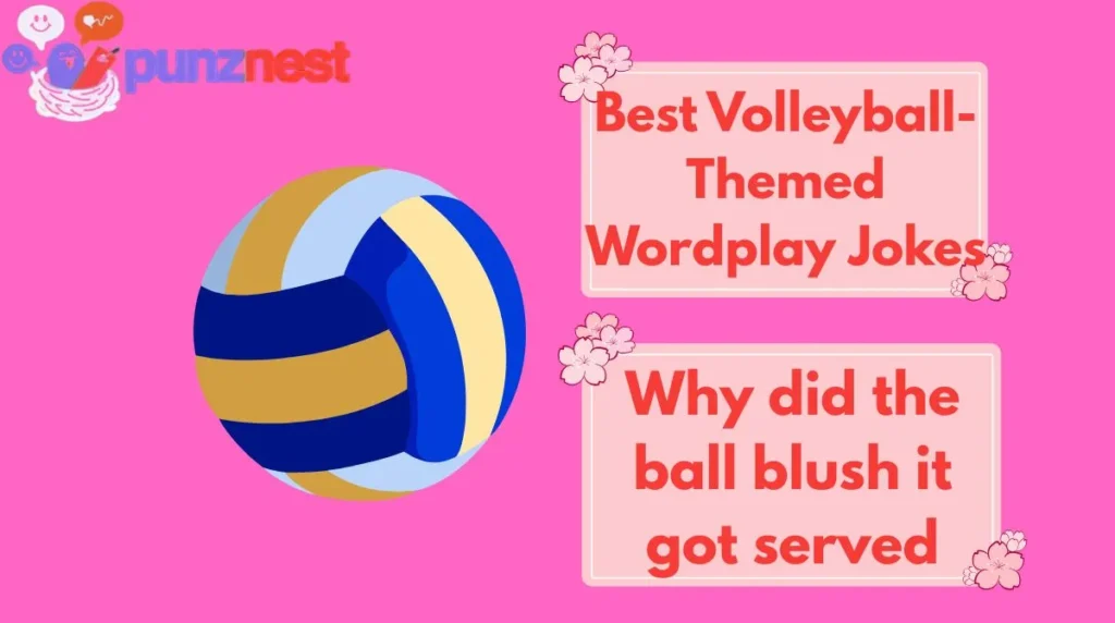 Best Volleyball-Themed Wordplay Jokes