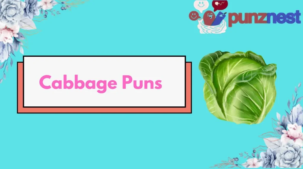 Cabbage Puns