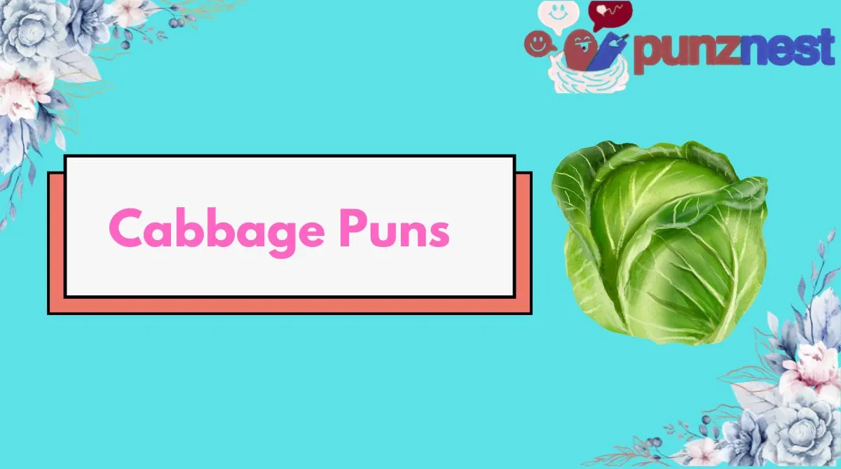 Cabbage Puns