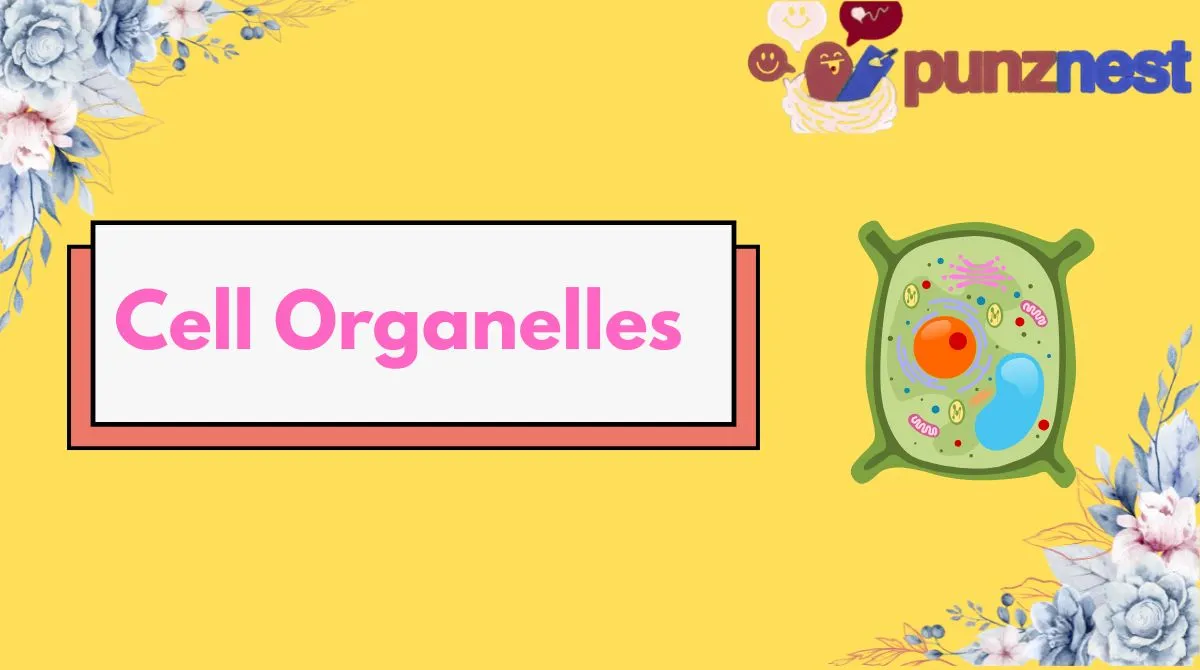 Cell Organelles