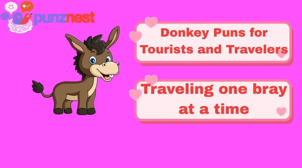 Donkey Puns for Tourists and Travelers
