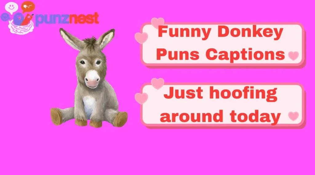 Funny Donkey Puns Captions