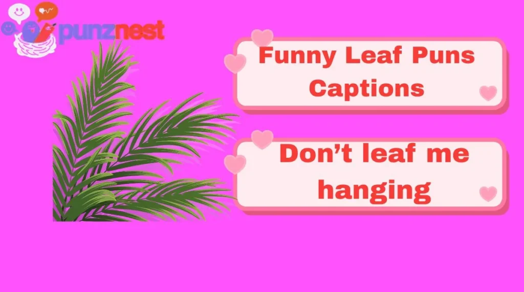 Funny Leaf Puns Captions