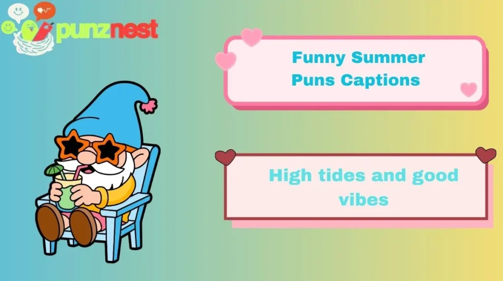 Funny Summer Puns Captions