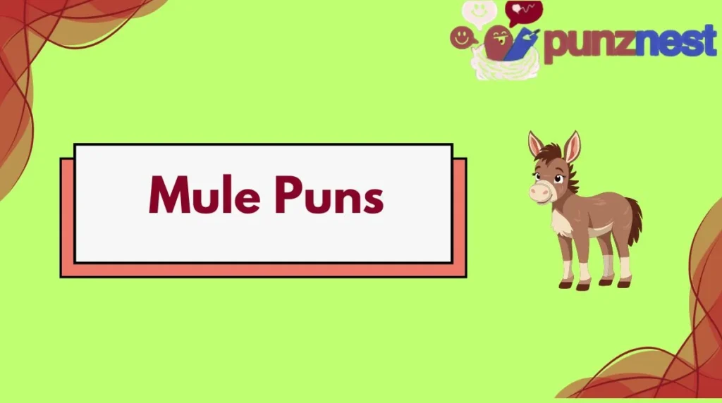 Mule Puns