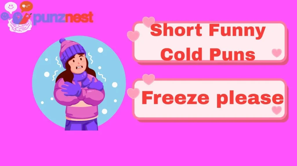 Short Funny Cold Puns