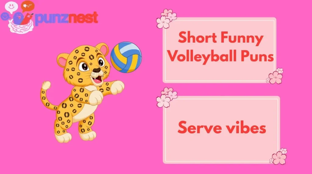 Short Funny Volleyball Puns