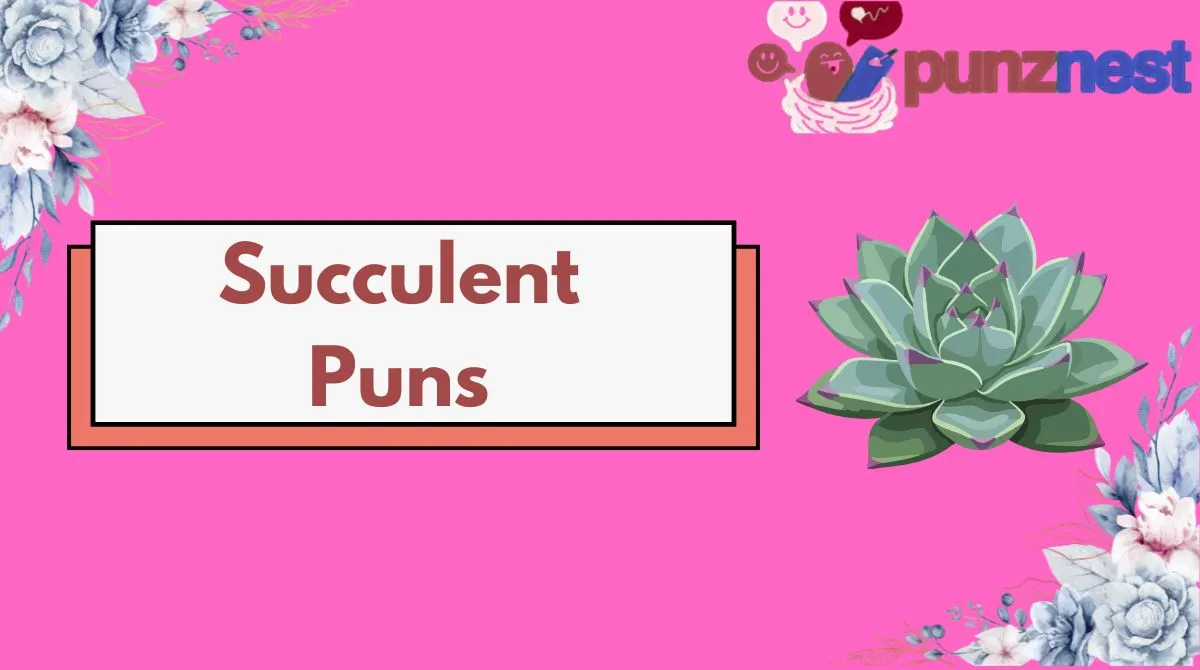 Succulent Puns