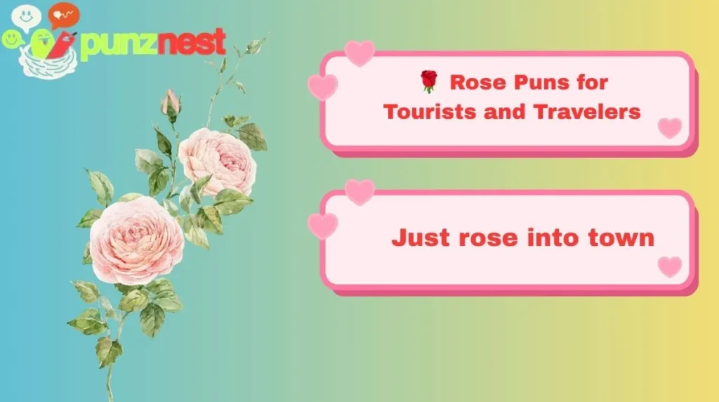 🌹 Rose Puns for Tourists and Travelers