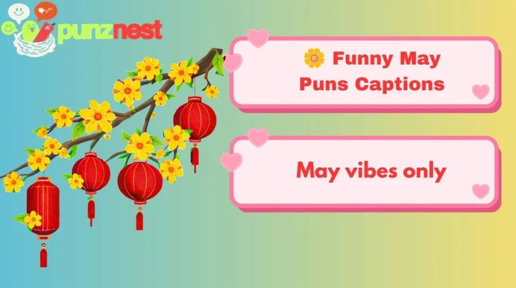🌼 Funny May Puns Captions