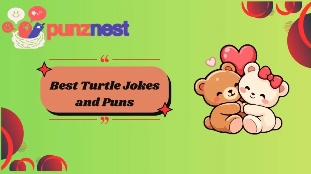 Best Turtle Jokes and Puns