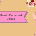 Koala Puns and Jokes